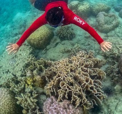 7 Destinasi Tahun Baruan di area tempat Kepulauan Seribu, Ada Akuarium Bawah Laut juga Benteng Belanda