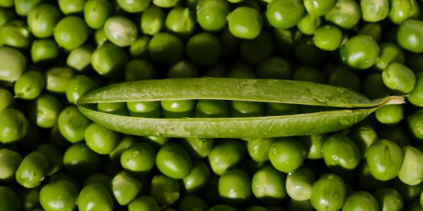 Jarang Diketahui, 6 Makanan Ini Bisa Bikin Miss V Gatal!